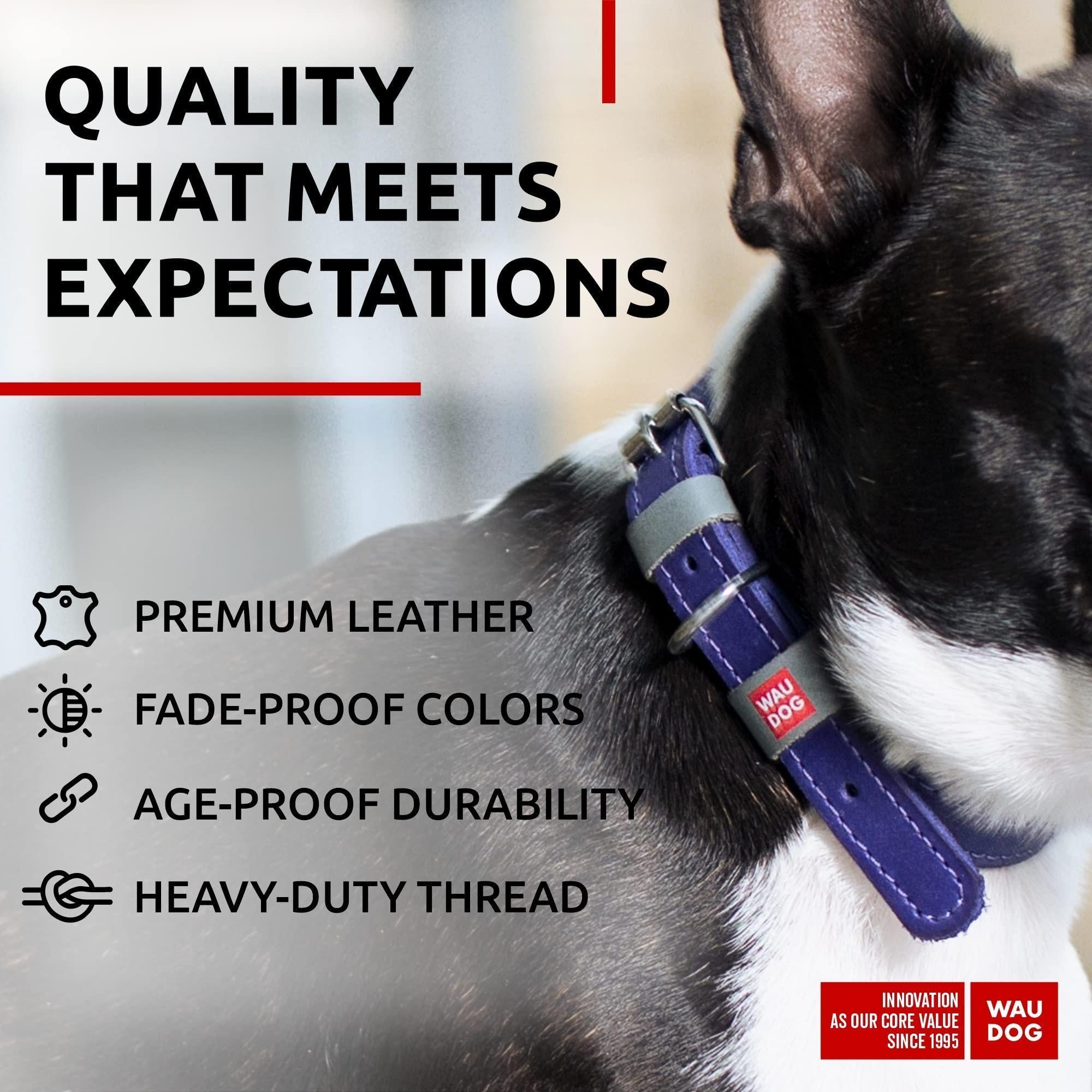 Purple Long Lasting Leather Dog Collar for Small Dogs 1114 inch Neck Adjustable