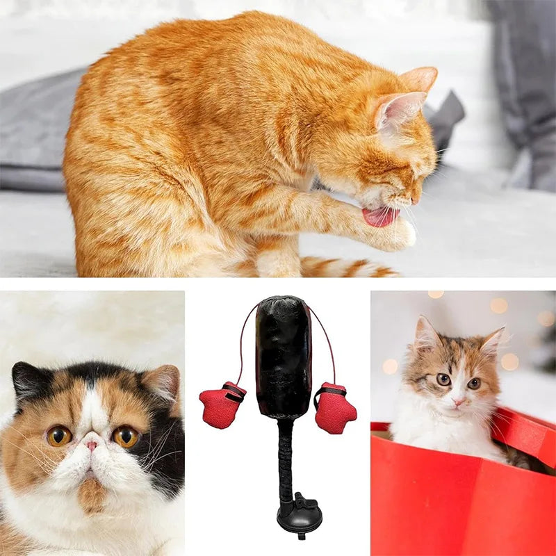 Interactive Cat Boxing Toy Cat Punching Bag Self-standing Play Gym For Kittens Stress Relief Cat Toy Durable Scratch Trainer